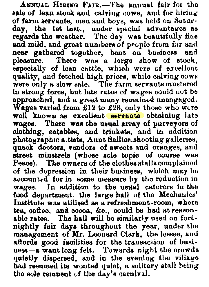 Business and Occupations   1879-03-08 CHWS.JPG